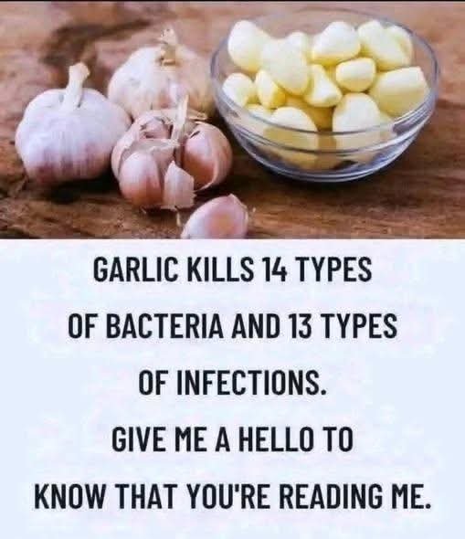 FB_IMG_1761589111978